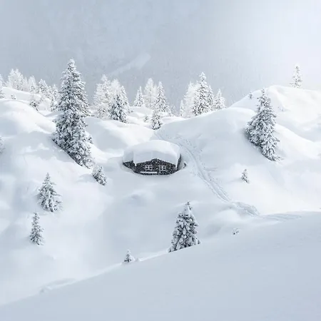 Luxalpine Haus Alpenkoenigin Mit Naturpanorama Gefuellt Mit Heilsamer Zirbenluft