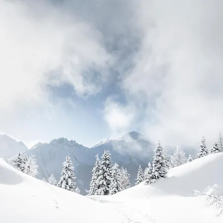 Апартаменты Ferienlodge Alpenkoenigin - Stubaital