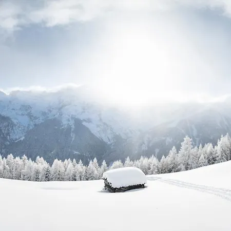 Luxalpine Haus Alpenkoenigin Mit Naturpanorama Gefuellt Mit Heilsamer Zirbenluft Apartment *
