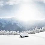 Ferienlodge Alpenkoenigin - Stubaital Apartmán *
